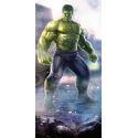 Stickers lé unique Hulk
