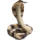 Sticker serpent Cobra
