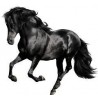 Sticker animal Cheval au galop 120x110cm