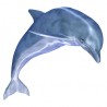 Sticker animal Dauphin 120x110cm