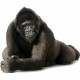 Sticker animal Gorille 120x100cm